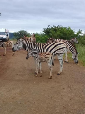 Hluhluwe Gate Safari Camp